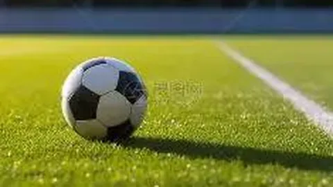 水晶宫能否在本轮较量中反超升班马，彰显实力？