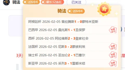 拜仁与不来梅第31轮德甲激战