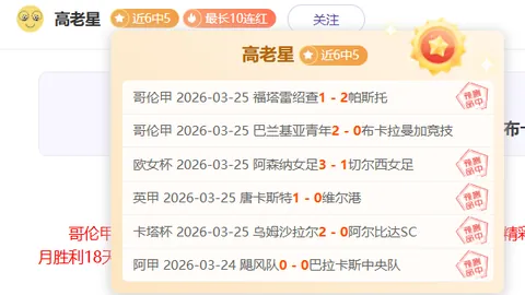 意乙第37轮巴勒莫对卡坦萨罗赛事分析
